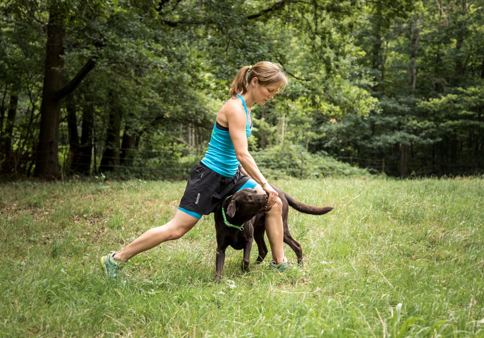 Fitnessübungen mit dem Hund Radebeul, Dresden